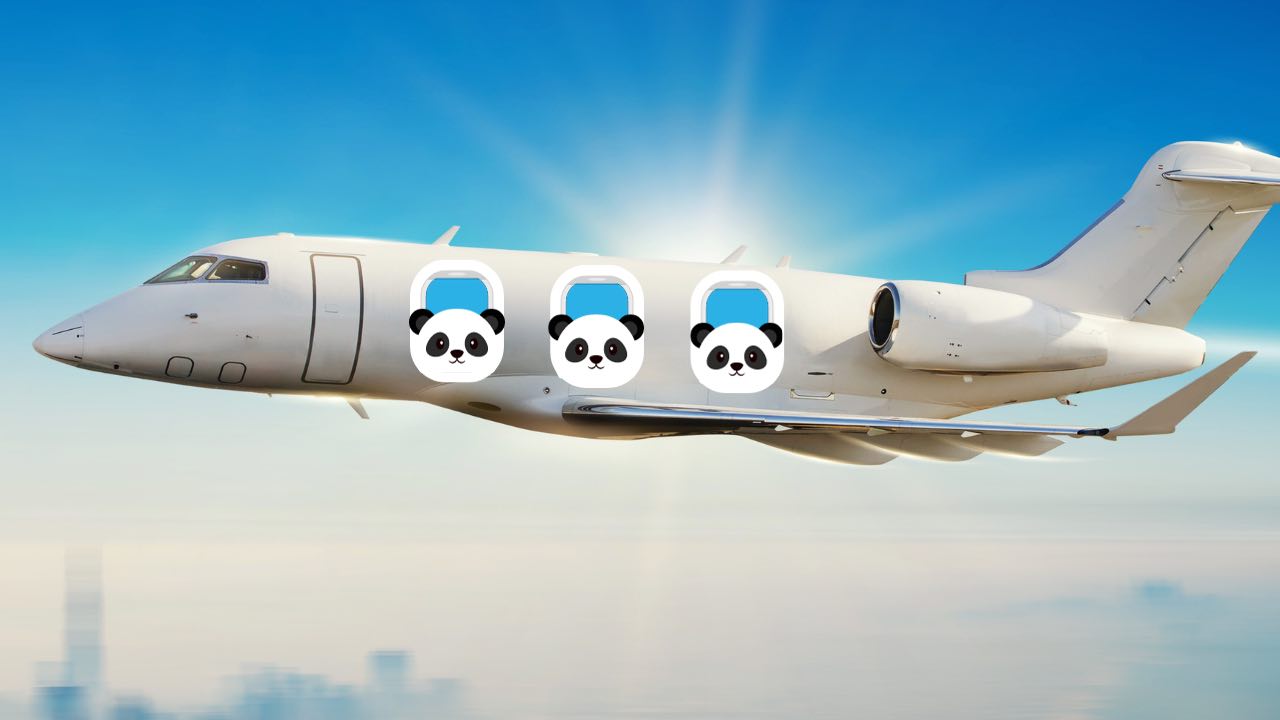 Pandas