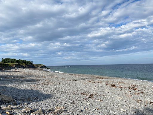 Une plage de galets au parc Forillon, au Québec.